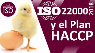 GUÍA DEFINITIVA ISO 220002018 Sistema de Inocuidad Alimentaria con 7 Principios HACCP  APPCC [upl. by Amaj]