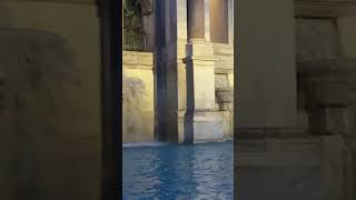 FONTANA DELL’ ACQUA PAOLA fountain rome travel touristattraction shortvideo shorts [upl. by Ziom443]