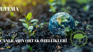 quotYENİ MÜFREDAT quot 9 Sınıf biyoloji Canlıların ortak özellikleri [upl. by Ardnuek]