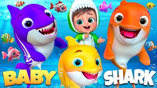 Baby Shark’s Underwater Fun  Old Mac  Nursery Rhymes amp Kids Songs  cocomelon nurseryrhymes [upl. by Eibber]