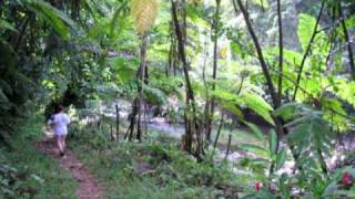 3 rivers Eco Lodge Dominica  Green Hotel of the Year [upl. by Hsilgne151]