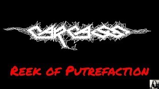 CARCASS  REEK OF PUTREFACTION GUITAR COVER  Julian Gonzalez [upl. by Bo]