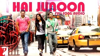 Audio  Hai Junoon  Full Song  New York  KK  Pritam  Sandeep Shrivastava [upl. by Ashlin987]