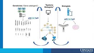 Understanding Resilience to Schizophrenia through Genetics [upl. by Obbard]