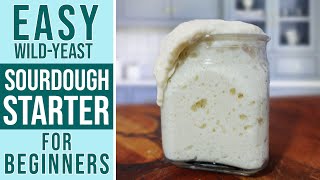 SOURDOUGH STARTER RECIPE  Maintenance Guide  Perfect for Beginners step by step [upl. by Gnouc186]