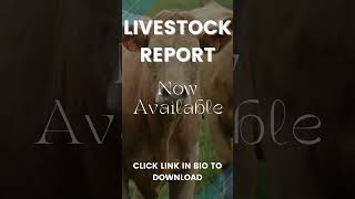 Livestock Report [upl. by Noami]