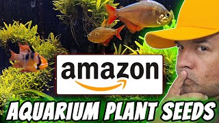 DEFEAT AND TRIUMPH MY EXPERIENCE WITH AQUARIUM PLANT SEEDS FROM AMAZON PRIME [upl. by Katonah]