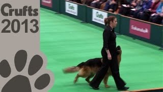 Obedience Dog Championships  Day 3  Crufts 2013 Jenny Gould amp Zakanja Bitter N Twisted [upl. by Nika]