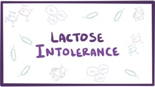 Lactose intolerance  causes symptoms diagnosis treatment amp pathology [upl. by Netsew878]