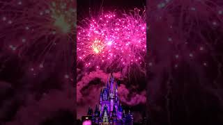 Happily Ever After disneycreator disneyinfluencer happilyeverafter magickingdom fireworks [upl. by Anola157]