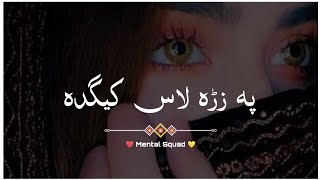 Pa Zrha Las kida 💔  Pashto Sad Shayari Status  Mental Squad [upl. by Stanzel442]