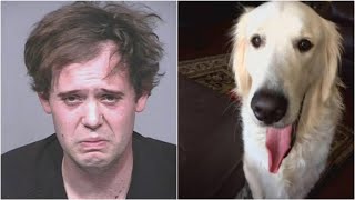 Service dog stabbed to death allegedly by owner [upl. by Emelen]