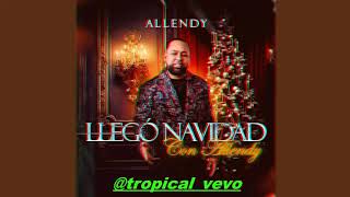 LLEGO NAVIDAD CON ALLENDYALLENDY MERENGUE NAVIDEÑO 2024 [upl. by Lenore]