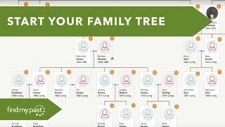 Family Tree  Getting Started [upl. by Esilenna]