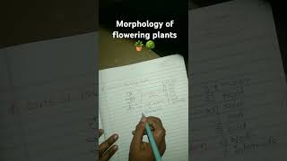 Morphology of flowering plants ☘️ [upl. by Nahsor809]