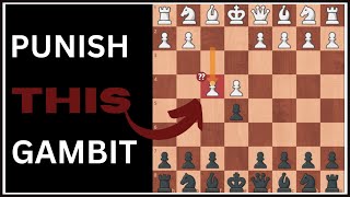 How to Punish the Kings Gambit Falkbeer Counter Gambit [upl. by Cirederf11]