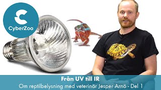 Från UV till IR  Samtal om reptilbelysning med veterinär Jesper Arnö ReptiVet Consult Del 14 [upl. by Fredi]