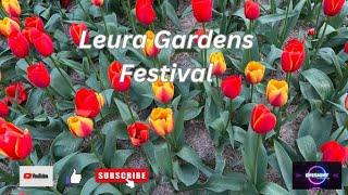 Leura Gardens Festival 2022 Blue Mountains NSW [upl. by Yenobe]