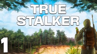 STALKER True Stalker 1 Настоящий Сталкер [upl. by Johm]