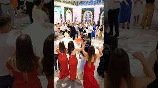 Mateus Frroku Live Performace Wedding [upl. by Maxine638]