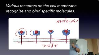 Lecture4Understanding Life ScienceSMWU20242 [upl. by Ayinat]