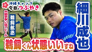 山本泰「温泉大好きです」細川「鵜飼くん、状態いいすね」【「今日のつぶやき」28木ドラゴンズ沖縄キャンプ】 [upl. by Theta]