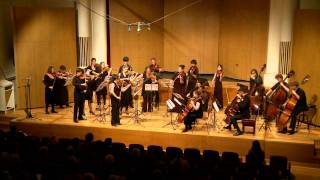 Strauss Metamorphosen for 23 solo strings  Sydney Camerata [upl. by Elberfeld]