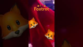 🦊Quick Step Foxtrot🦊Beautiful💃🕺 ballroomdance dancers foxtrot dance dancer ballroom [upl. by Eyt]