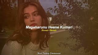 Magaharunu Heene Kumari  මගහැරුනු හීනේ කුමාරී Slowed  Reverb  Heart Touching Entertainment [upl. by Hall]