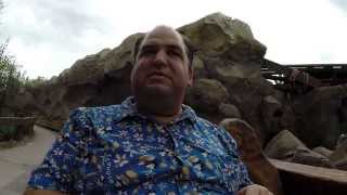 Seven Dwarfs Mine Train Onride  My First Ride with Reverse POV [upl. by Dosia]