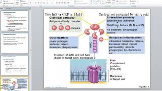 Interferons and Compliment [upl. by Cohbath]