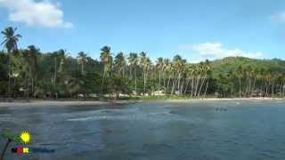 Playa La Pascuala Samana Dominikanische Republik [upl. by Lonni146]