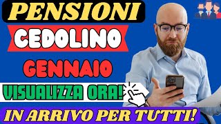 PENSIONI CEDOLINO GENNAIO 2024 ARRIVATO CONTROLLA GLI AUMENTI ORA [upl. by Proctor]