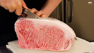 Rare Yamagata Wagyu A5  Teppanyaki in Japan [upl. by Eyatnod]