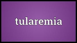 Tularemia Meaning [upl. by Anileuqcaj360]