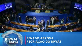 Senado aprova recriação do DPVAT [upl. by Oihsoy]