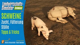 LS25 Schweinehaltung Tutorial Alles über Ställe Fütterung und Zucht [upl. by Ramu]