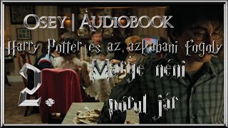 Harry Potter és az azkabani fogoly hangoskönyv remake  2 fejezet [upl. by Onin]