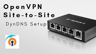 OpenVPN sitetosite on Edgerouter DynDNS Setup [upl. by Sallad]