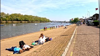 MustSee London Walking Tour Along Idyllic Putney Thames Path 4K [upl. by Rhodie576]