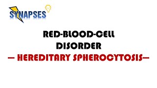 Hereditary spherocytosis pathology symptoms diagnosis treatment [upl. by Enrobyalc]