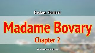 Madame Bovary Audiobook Chapter 2 with subtitles [upl. by Moria631]