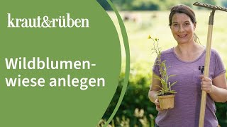 Wildblumenwiese anlegen🐝 Unsere BiogartenWelt [upl. by Yve]