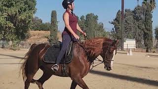 Lesson 9124 Mamosa 1 [upl. by Spring]