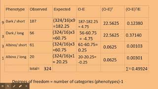 612 Patterns of Inheritance PART 2 Dihybrid example c Using the chisquared [upl. by Norre]