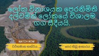 3 Shocking Ways Climate Change Affects the Amazon Rainforest amazonriver amazon climatechange [upl. by Selyn]