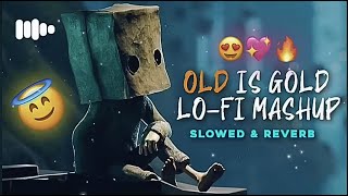 90s old is gold lofi sings slowed amp reverb  new lofi song hindi lofi song [upl. by Loredana]