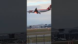 A tway air plane landing at Frankfurt Airport viralshorts [upl. by Finlay]