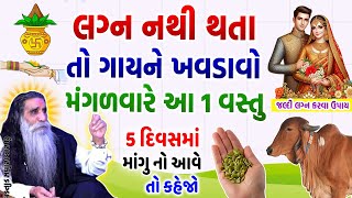 લગ્ન નથી થતા તો મંગળવારે ગાયને ખવડાવો આ 1 વસ્તુ 5 દિવસમાં માંગુ આવશે  Lagan  Marriage Tips [upl. by Gibb]