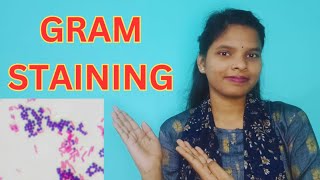 GRAM STAINING FULL DETAILS IN BENGALI  GRAM STAIN PROCEDURE gramstaining [upl. by Adnawak233]